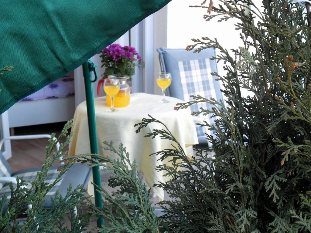 Kestenovi Dvori Apartment
