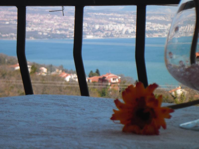 Kestenovi Dvori Apartment